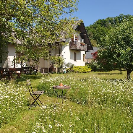 River House Radolca Радовлица Екстериор снимка