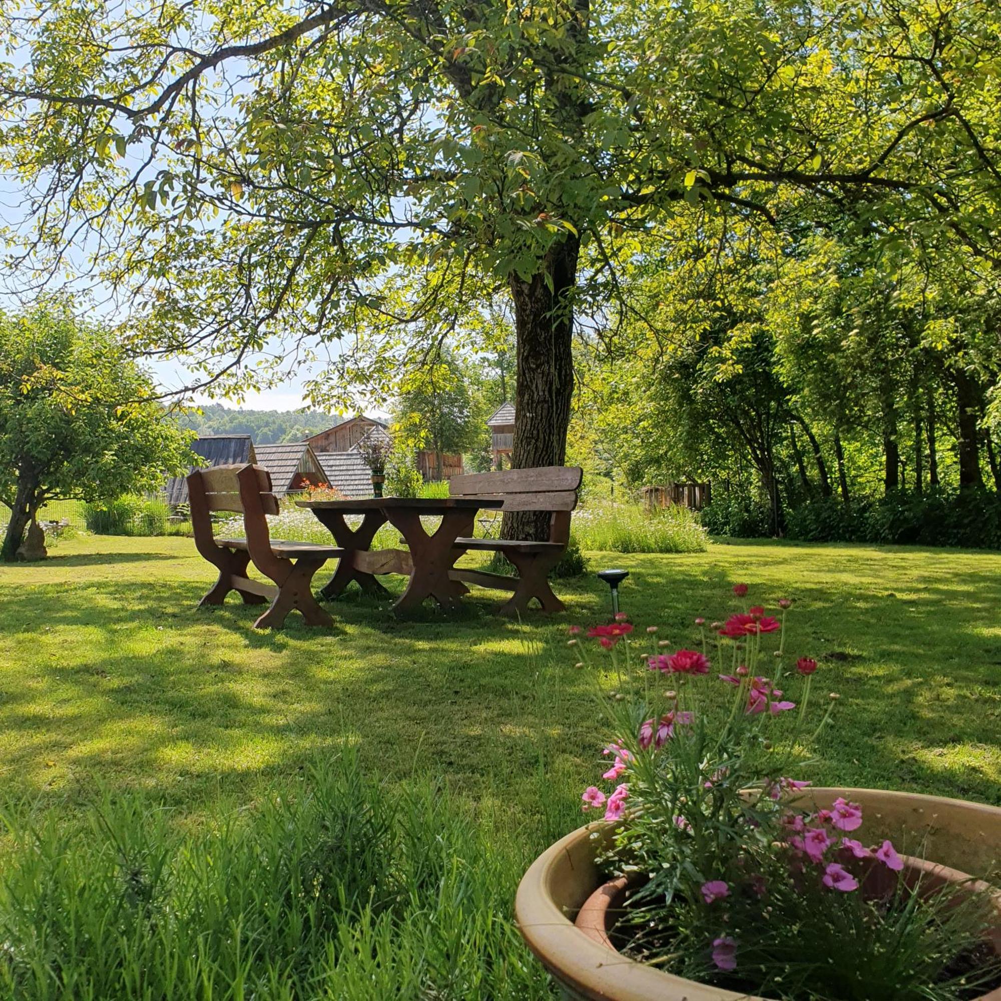 River House Radolca Радовлица Екстериор снимка